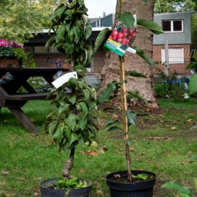 2020 10 04 03 P1030223 Resized