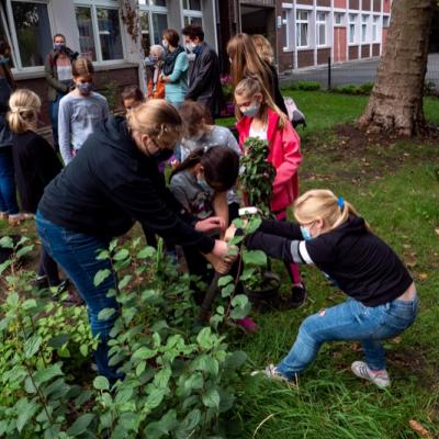 2020 10 04 09 P1030249 Resized